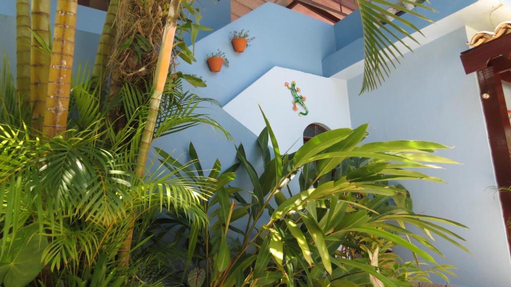 Pousada Raios De Luar Boicucanga Buitenkant foto